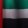 Detailed close-up of the United Arab Emirates flag with vibrant colors and fabric texture.